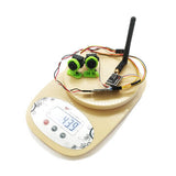 EWRF FPV Dual Camera System 1000TVL CMOS Mini Two Cameras + 5.8Ghz 600mW 40CH VTX + 3CH Switch Support PMW for RC Racing Drone